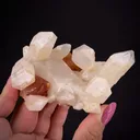 Scheelite and Quartz - image 1