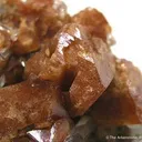 Scheelite and Quartz - image 2