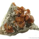 Scheelite and Quartz - image 1