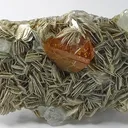 Scheelite, Beryl - image 1