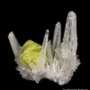 Scheelite coated by Stolzite - image 5