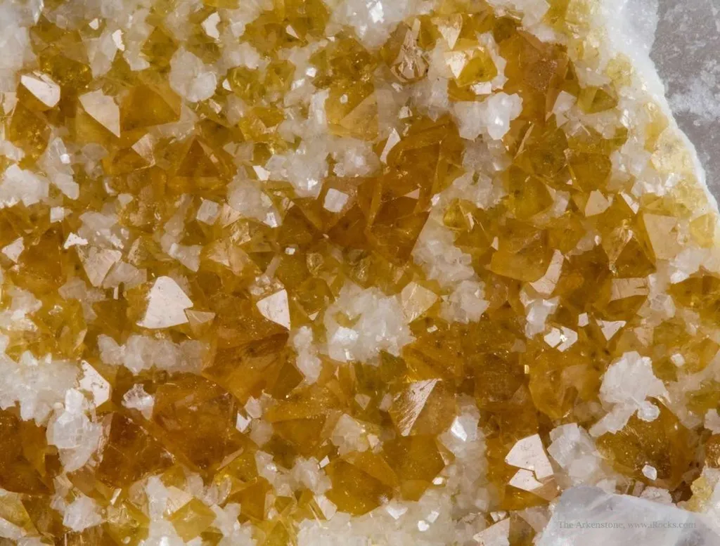 Scheelite, Dolomite, Fluorite, Quartz image