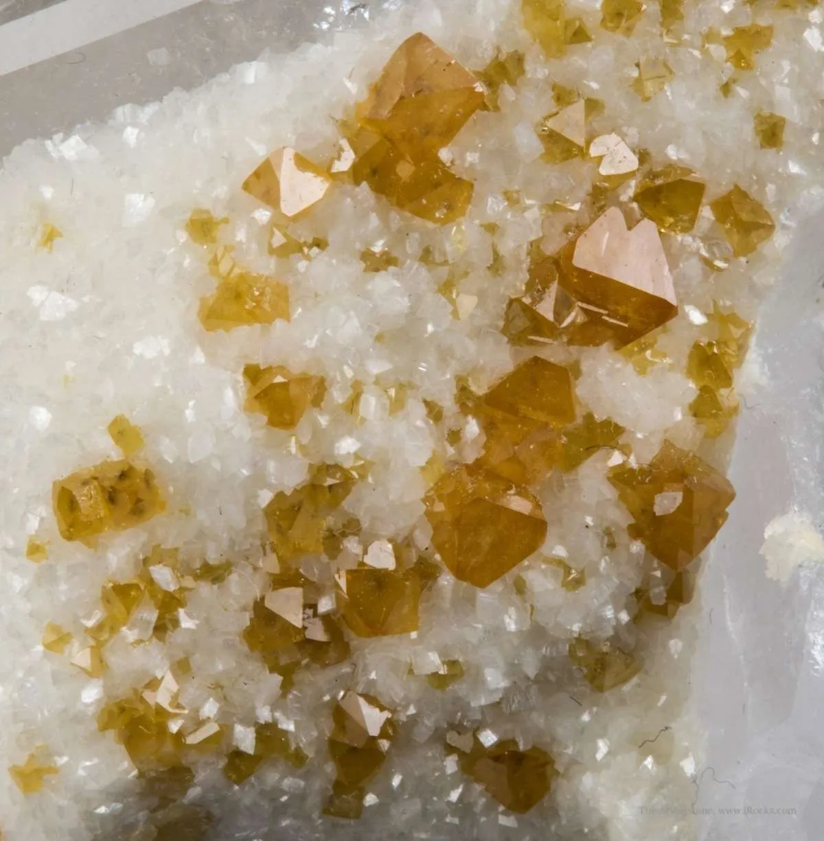 Scheelite, Dolomite, Quartz - image 2