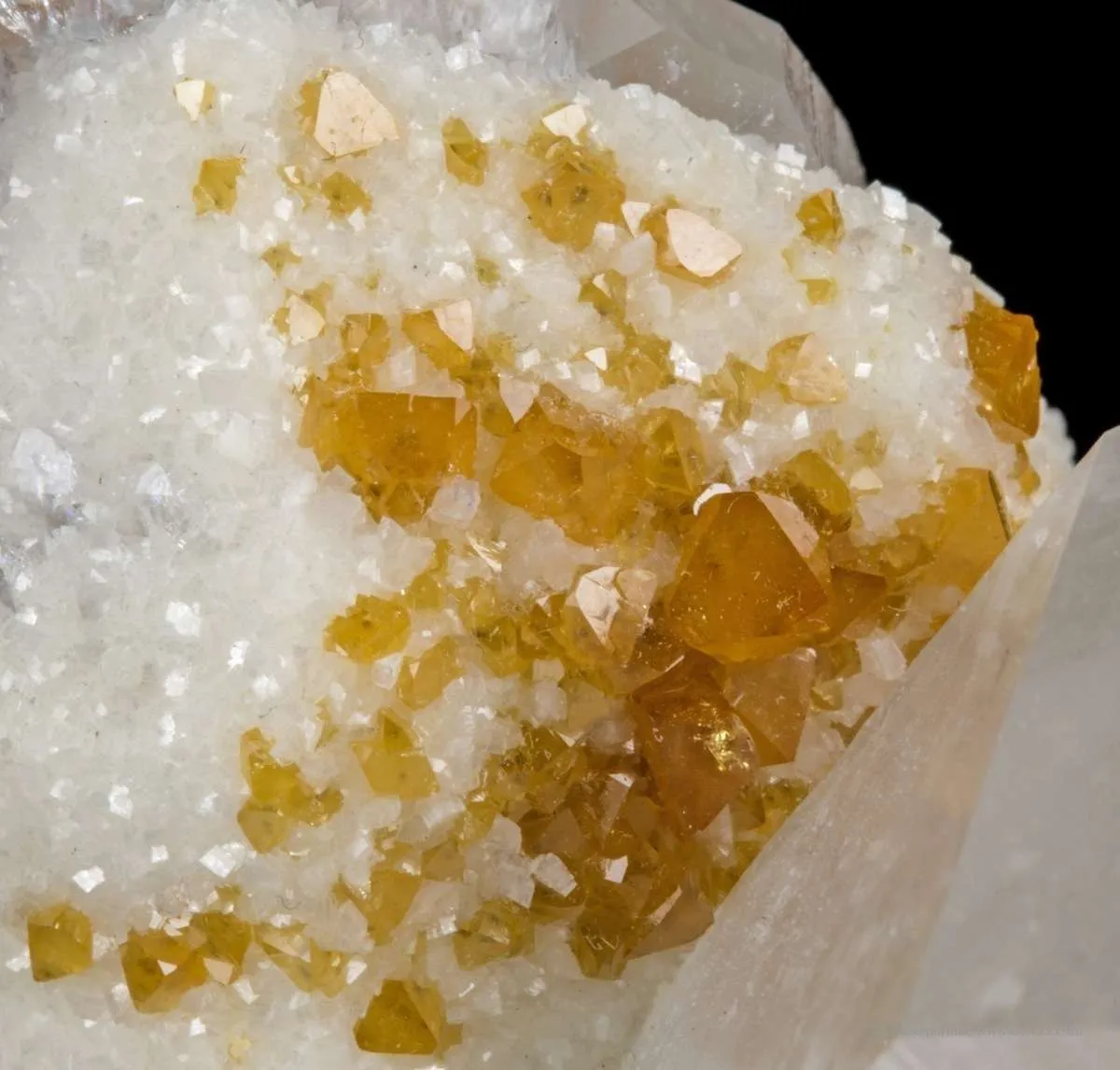 Scheelite, Dolomite, Quartz - image 3