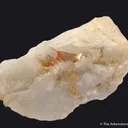 Scheelite (fl) with Quartz - image 2