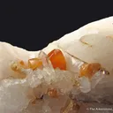 Scheelite (fl) with Quartz - image 4