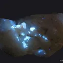 Scheelite (fl) with Quartz - image 5