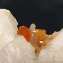 Scheelite (fl) with Quartz - image 6