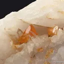 Scheelite (fl) with Quartz - image 3