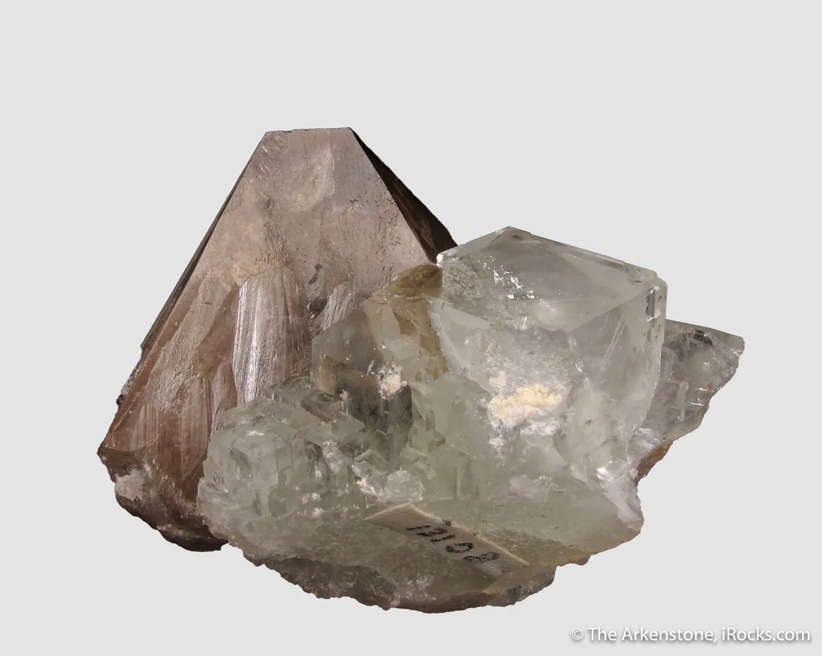 Scheelite (fluor.) and Fluorite (fluor.) - image 2