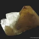 Scheelite (fluor.) and Fluorite (fluor.) - image 5