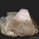 Scheelite (fluor.) and Fluorite (fluor.) - image 4
