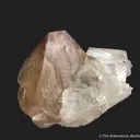 Scheelite (fluor.) and Fluorite (fluor.) - image 1