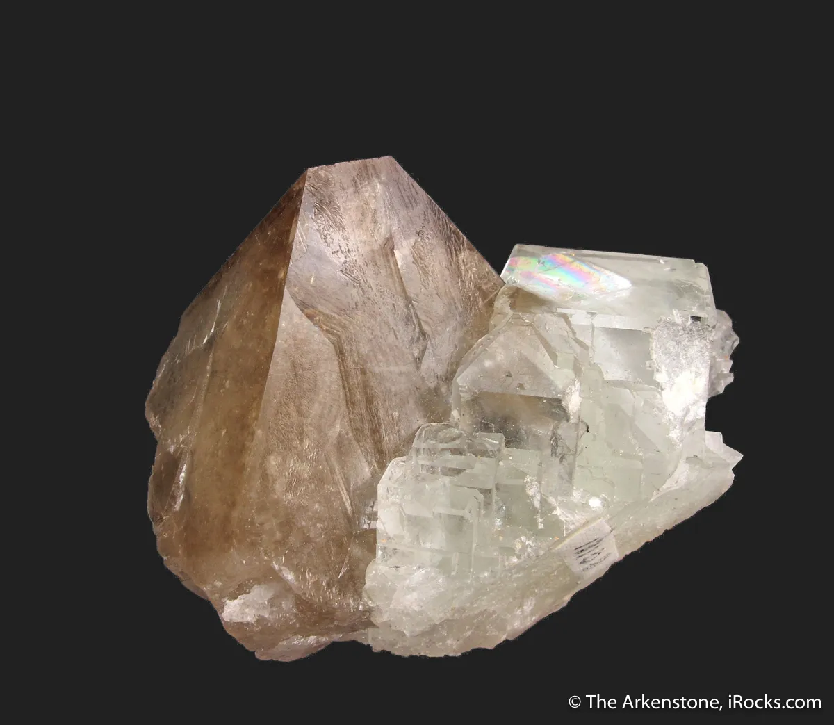 Scheelite (fluor.) and Fluorite (fluor.) - image 1