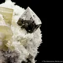 Scheelite, Fluorapatite and Quartz on Pyrite - image 4