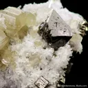 Scheelite, Fluorapatite and Quartz on Pyrite - image 3