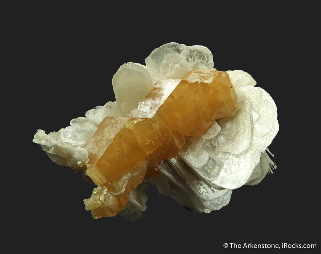 Scheelite (fluorescent) on Muscovite image