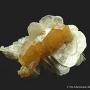 Scheelite (fluorescent) on Muscovite - image 1