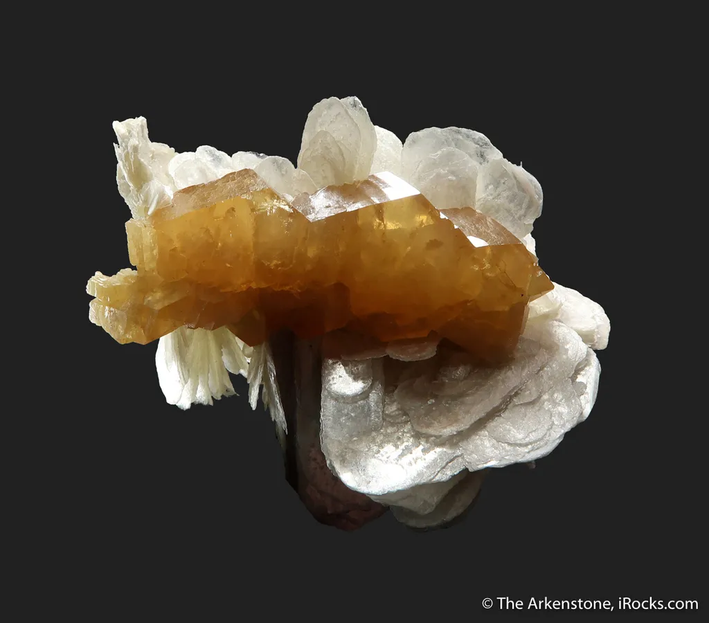 Scheelite (fluorescent) on Muscovite - image 8