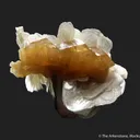 Scheelite (fluorescent) on Muscovite - image 8