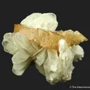 Scheelite (fluorescent) on Muscovite - image 4