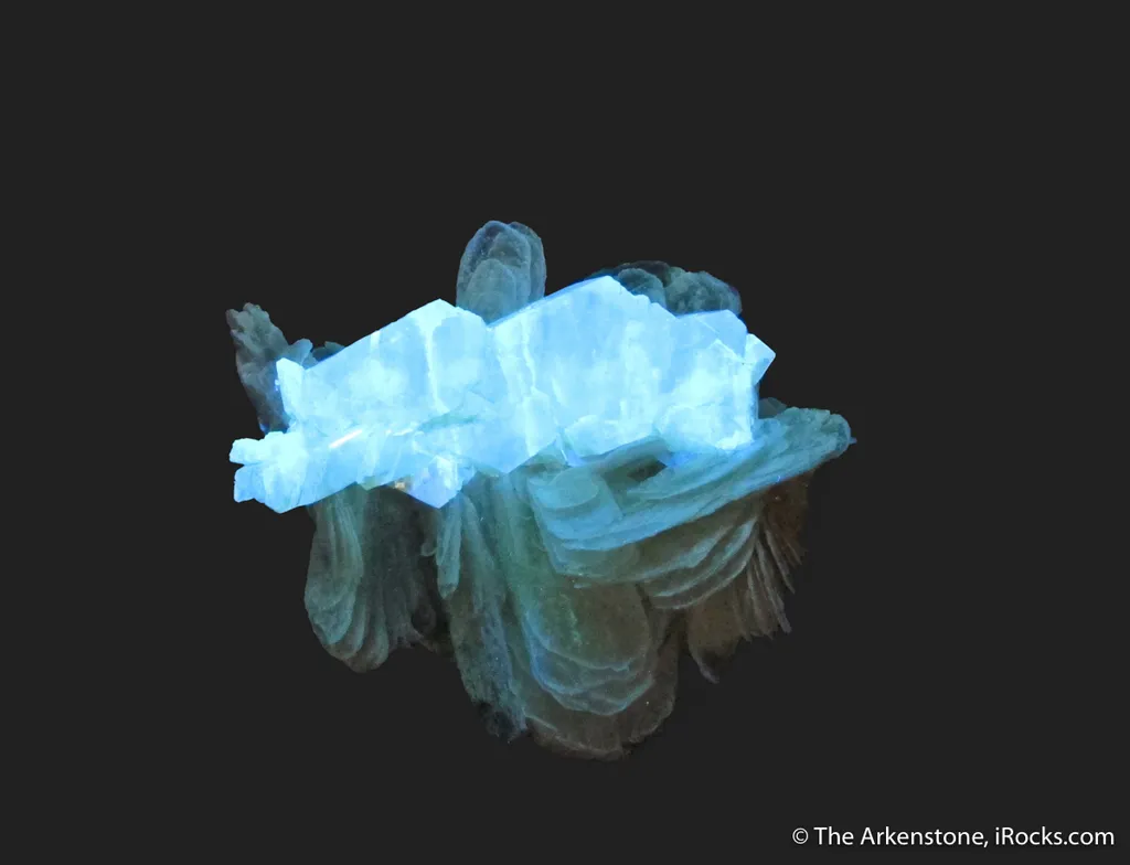 Scheelite (fluorescent) on Muscovite - image 5
