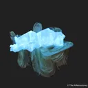 Scheelite (fluorescent) on Muscovite - image 5