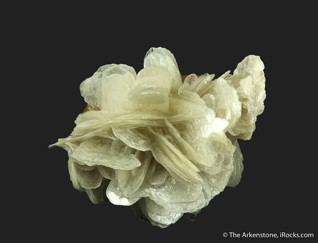 Scheelite (fluorescent) on Muscovite - image 3
