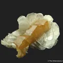 Scheelite (fluorescent) on Muscovite - image 12