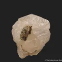 Scheelite (fluorescent) with Epidote - image 5