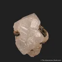 Scheelite (fluorescent) with Epidote - image 1