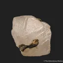 Scheelite (fluorescent) with Epidote - image 4