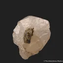 Scheelite (fluorescent) with Epidote - image 2