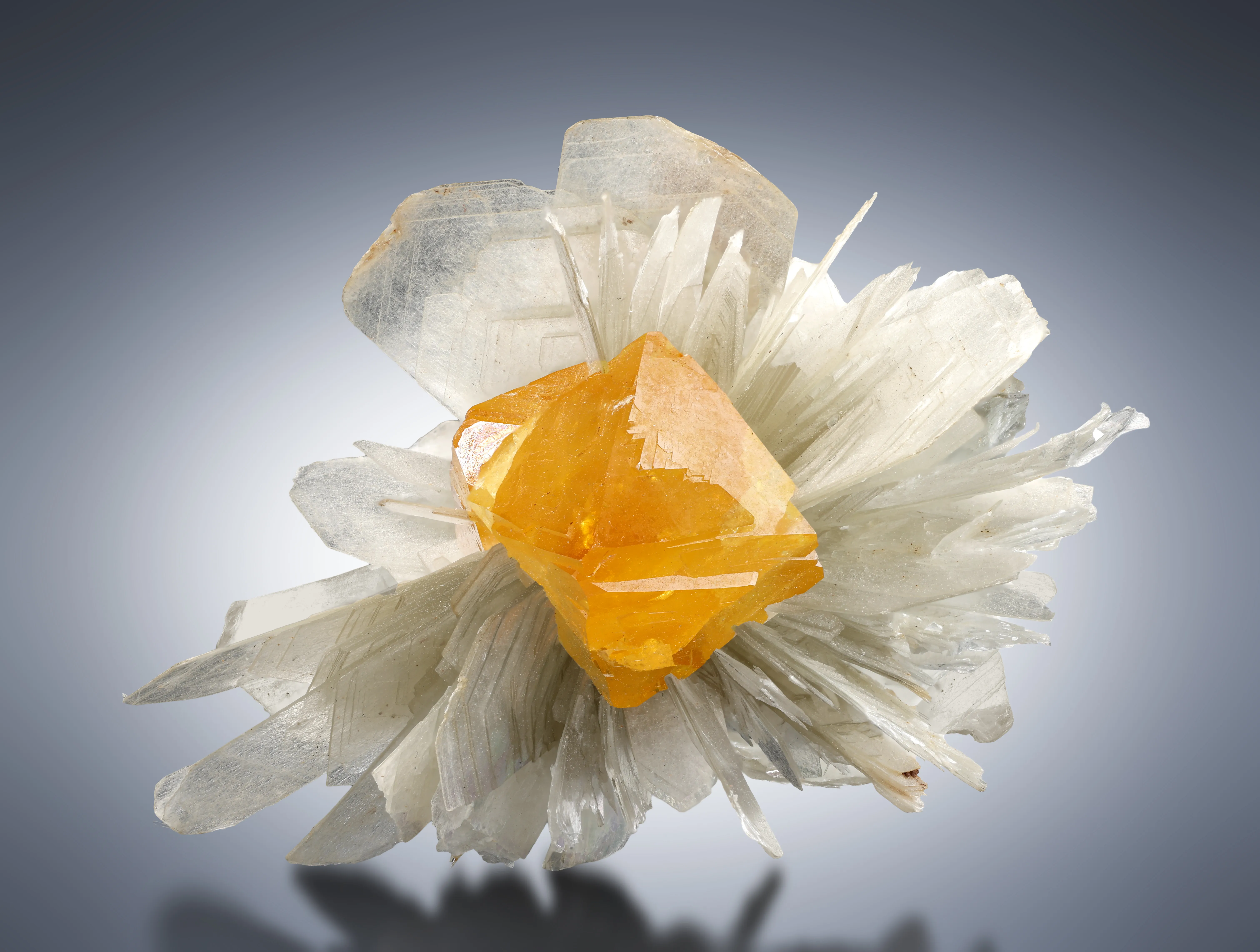 Scheelite from China, Sichuan, Pingwu Co., Mount Little Xuebaoding - image 1