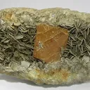 Scheelite, Muscovite - image 1