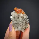 Scheelite on Dolomite with Pyrrhotite & Cubanite - image 2