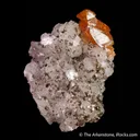 Scheelite on Dolomite with Pyrrhotite & Cubanite - image 6