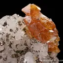 Scheelite on Dolomite with Pyrrhotite & Cubanite - image 1
