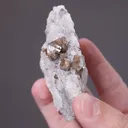 Scheelite on Fluorite - image 2