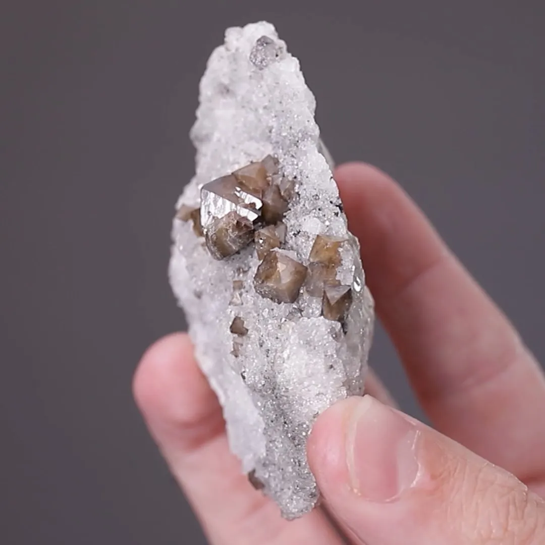 Scheelite on Fluorite - image 2