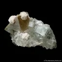 Scheelite on Fluorite, with Dolomite - image 4