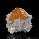 Scheelite on Muscovite - image 3