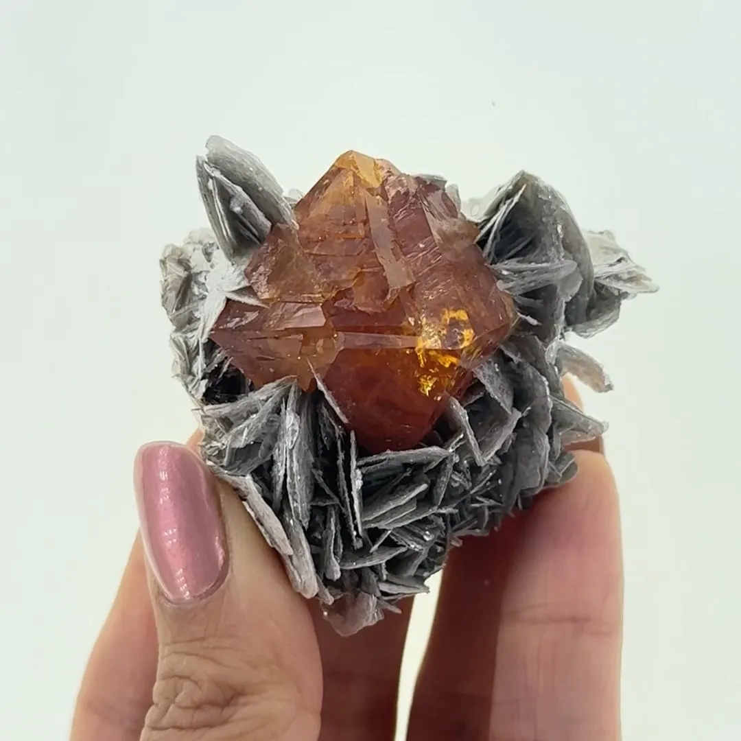 Scheelite on Muscovite - image 2