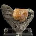 Scheelite on Muscovite - image 2