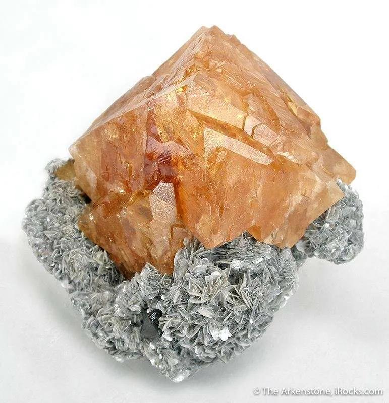 Scheelite on Muscovite - image 3