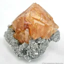 Scheelite on Muscovite - image 3