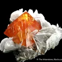 Scheelite on Muscovite - image 1