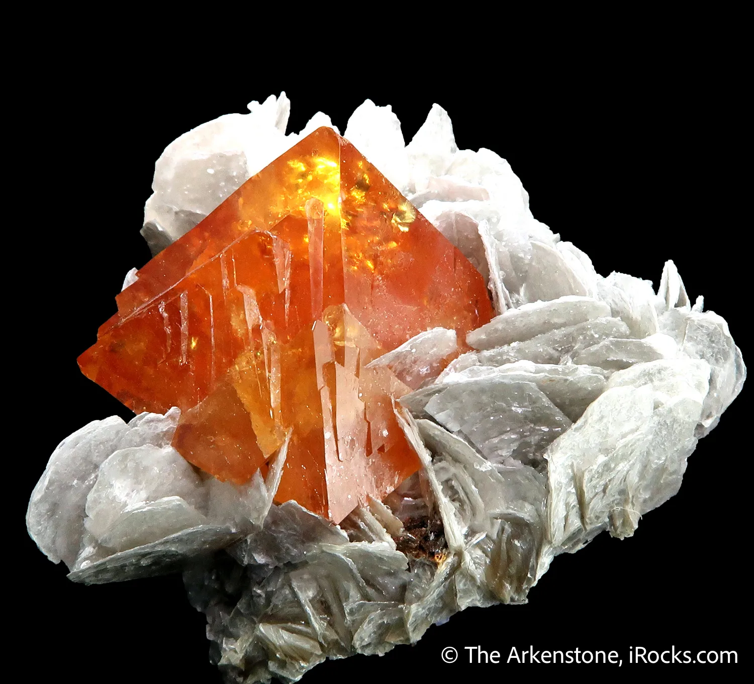 Scheelite on Muscovite - image 1