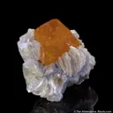Scheelite on Muscovite - image 6