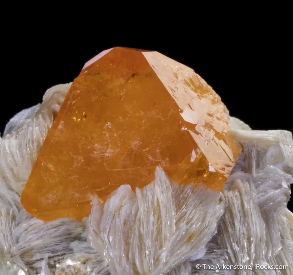 Scheelite on Muscovite image